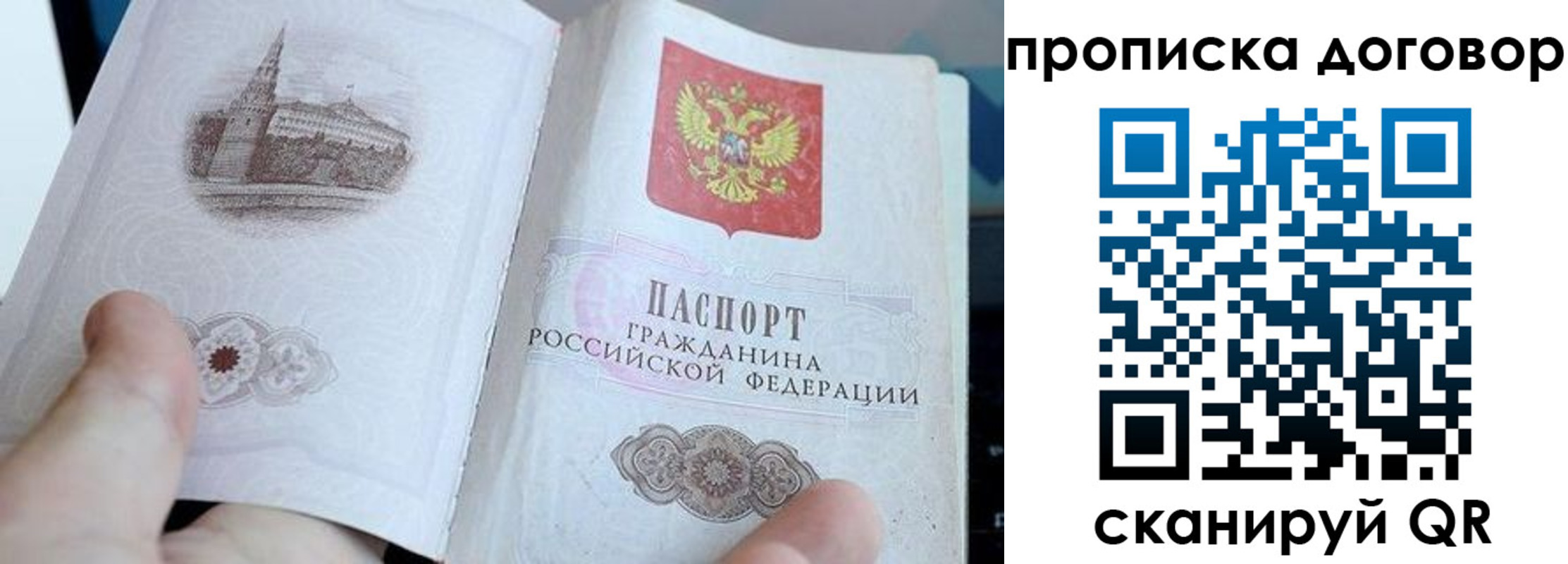 прописка в Алексине
